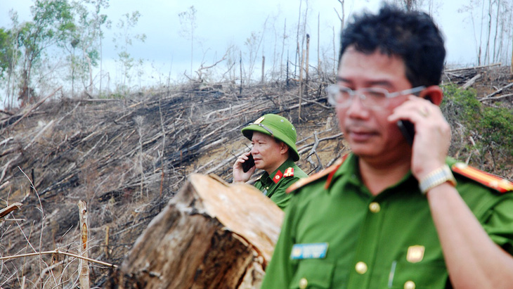 Cận cảnh vụ phá rừng phòng hộ quy mô lớn ở Quảng Nam - Ảnh 5.