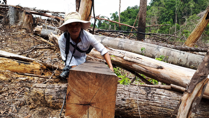 Cận cảnh vụ phá rừng phòng hộ quy mô lớn ở Quảng Nam - Ảnh 11.