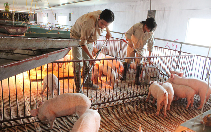 Gỡ bỏ 12 thủ tục sản xuất, kinh doanh chăn nuôi, thuỷ sản - Ảnh 1.