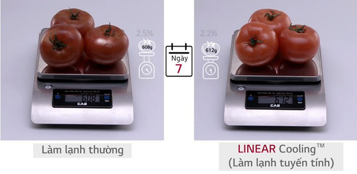 Những ưu điểm công nghệ Linear Inverter của tủ lạnh LG - Ảnh 2.