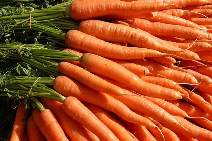 Cà rốt - kho caroten và vị thuốc quý - Ảnh 1.