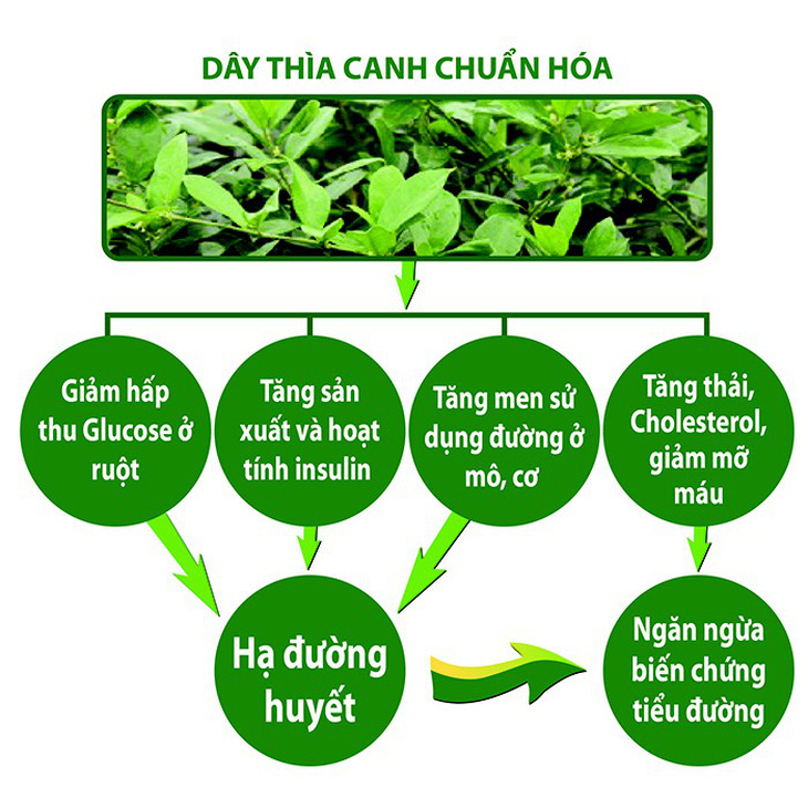 4 cách đơn giản giảm nguy cơ mù lòa ở bệnh nhân tiểu đường - Ảnh 2.