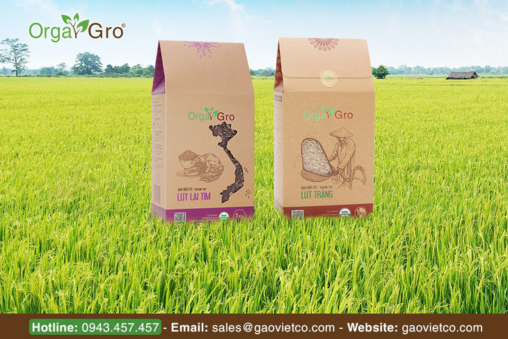 Chuyện về hạt gạo hữu cơ Orgagro - Ảnh 1.