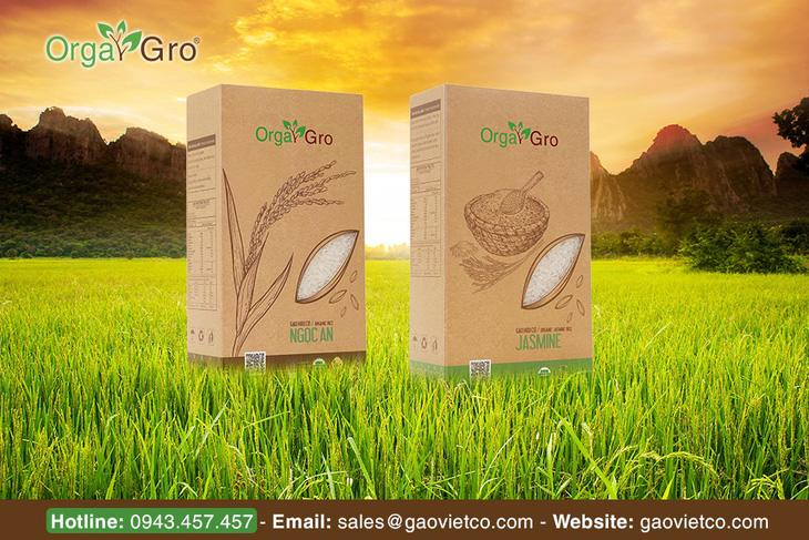 Chuyện về hạt gạo hữu cơ Orgagro - Ảnh 2.