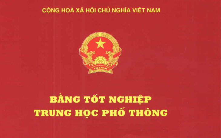 Cách chức phó chủ tịch phường vì xài bằng giả - Ảnh 1.