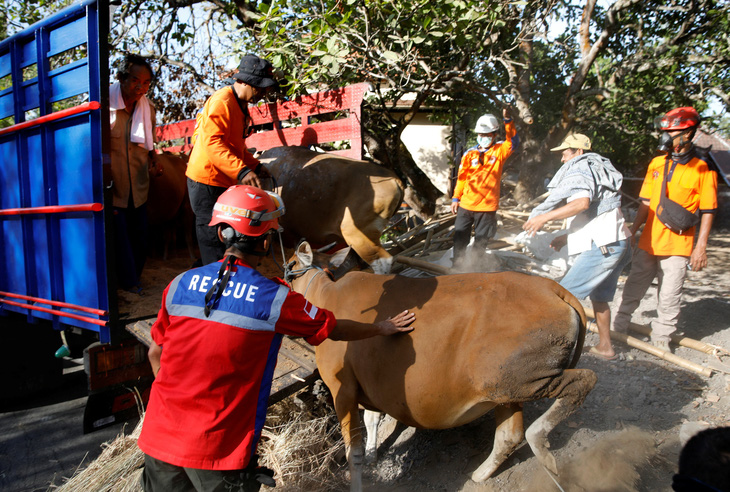 Bali hồi hộp chờ núi lửa phun trào - Ảnh 10.