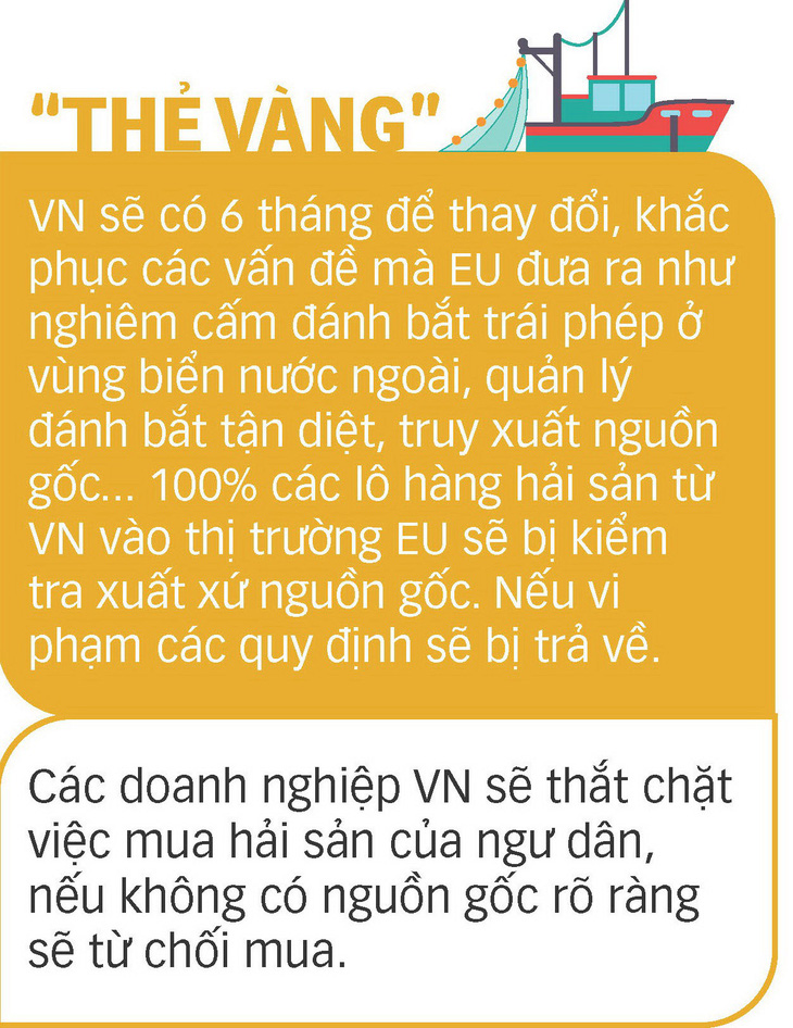 Ngư dân bỏ tiền mua biển và án phạt thẻ vàng từ EU - Ảnh 2.