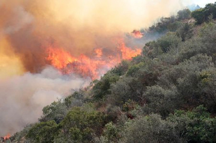 Los Angeles đối phó với trận cháy rừng lịch sử - Ảnh 1.