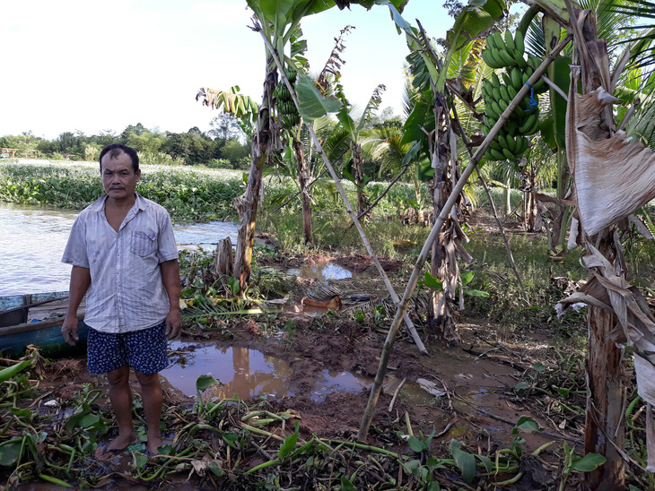 Có bờ kè trăm tỉ, sạt lở vẫn ăn đất của dân - Ảnh 1.