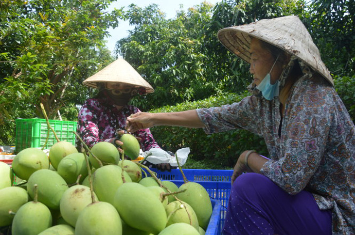 Bí thư Lê Minh Hoan: Nói chuyện mà doanh nghiệp như muốn khóc - Ảnh 6.