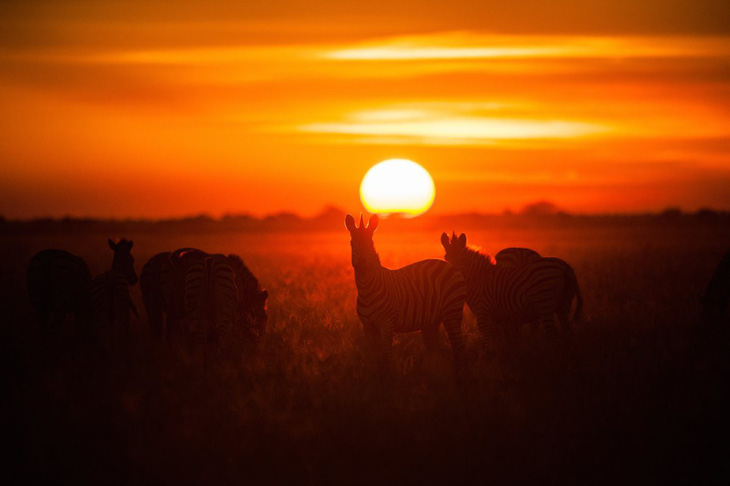 Ngắm châu Phi mê hoặc trong phim tài liệu National Geographic - Ảnh 1.