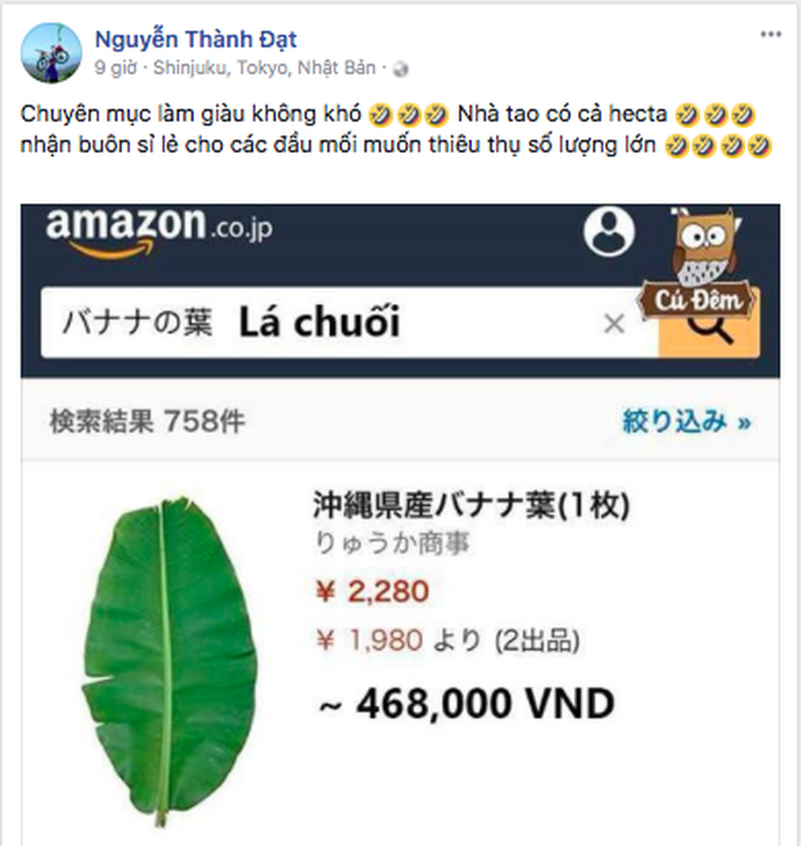 Du học sinh nói gì về lá chuối 500.000 đồng trên Amazon Nhật? - Ảnh 2.
