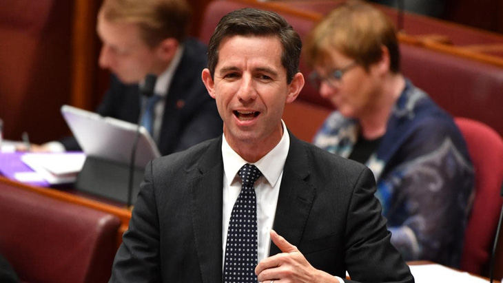 Bộ trưởng Úc: trì hoãn CPTPP sẽ thiệt 15,6 tỉ USD - Ảnh 1.