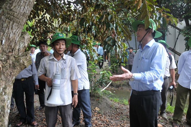 Kiểm soát chặt doanh nghiệp xuất khẩu vú sữa lò rèn sang Mỹ - Ảnh 2.