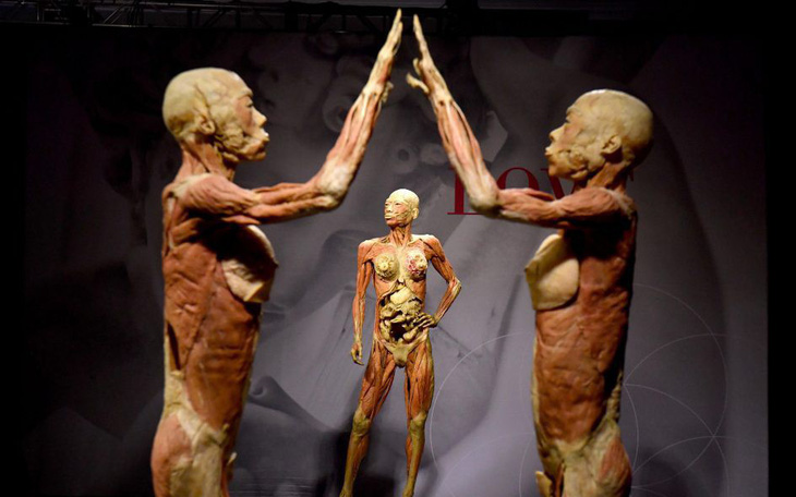 Một thành phố ở Thụy Sĩ cấm triển lãm bộ phận cơ thể người