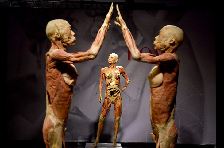 Một thành phố ở Thụy Sĩ cấm triển lãm bộ phận cơ thể người - Ảnh 1.