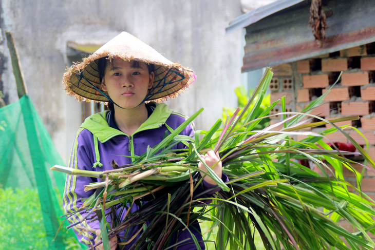 Bước qua gian khó vào đại học - Ảnh 1.