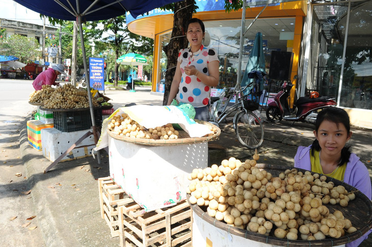 Về Tiên Phước ăn trái bòn bon - Ảnh 14.