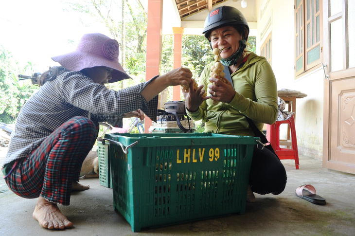 Về Tiên Phước ăn trái bòn bon - Ảnh 13.