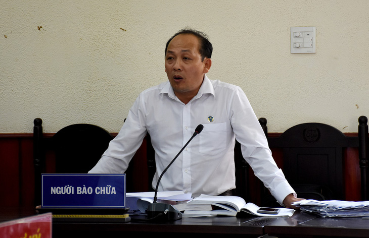 Phạt tù 9 bị cáo phá 64ha rừng ở Bình Định - Ảnh 3.