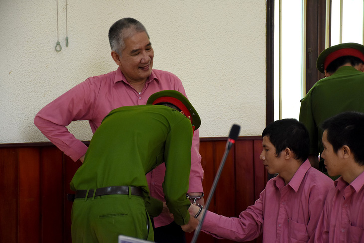 Phạt tù 9 bị cáo phá 64ha rừng ở Bình Định - Ảnh 4.
