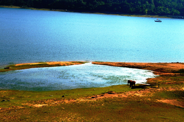 Cuối tuần đi ngắm hồ Phú Ninh mùa nước cạn - Ảnh 3.