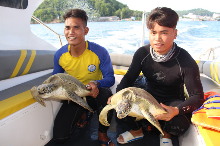 Thả 9 con rùa biển quý hiếm về biển Phú Quốc - Ảnh 2.