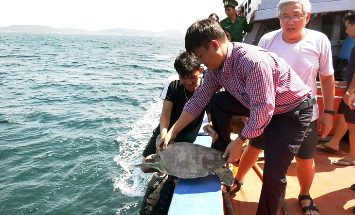 Thả 9 con rùa biển quý hiếm về biển Phú Quốc - Ảnh 1.