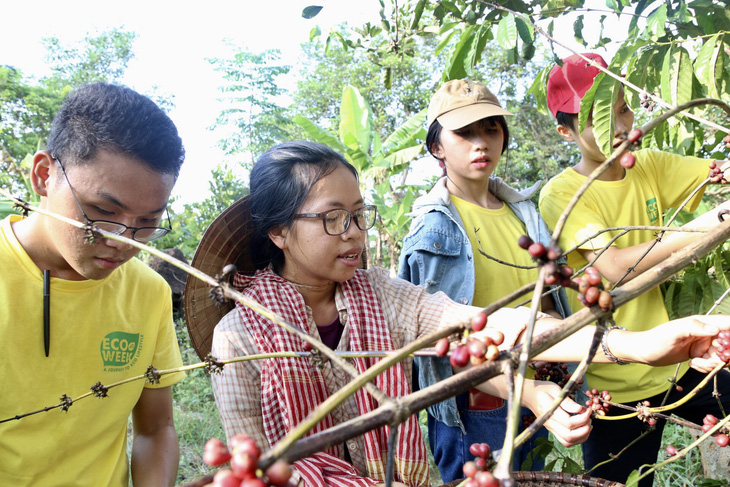 Sinh viên lên rẫy học làm kinh tế xanh - Ảnh 1.