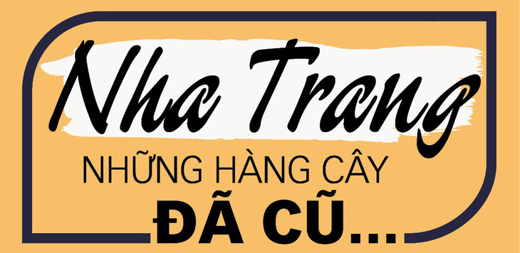 Nha Trang - Những hàng cây đã cũ - Ảnh 2.