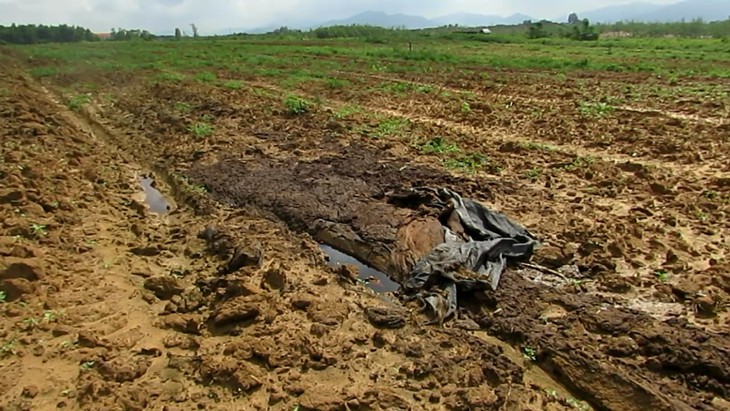 Hàng ngàn hộ dân kêu trời vì... ruồi - Ảnh 4.