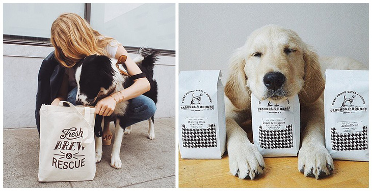 Mở thương hiệu cà phê cứu chó, chàng trai thu 1 triệu USD - Ảnh 3.