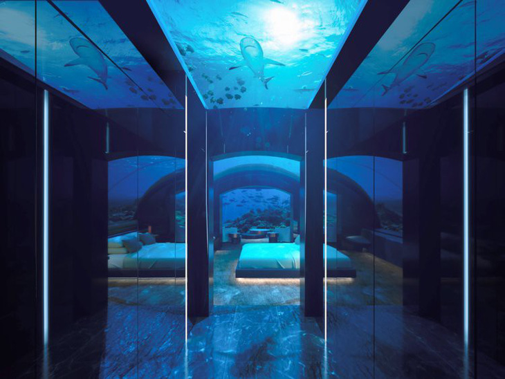 Khách sạn 50.000 USD một đêm ngắm cá mập giữa đại dương - Ảnh 1.