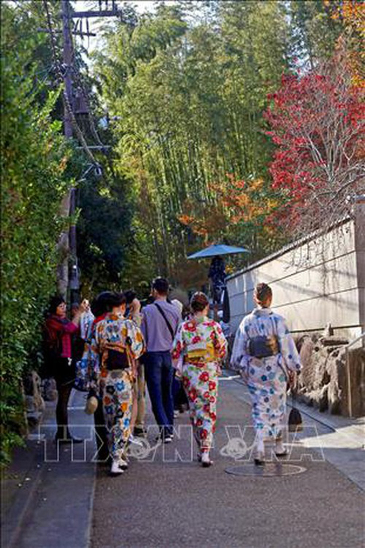 Chiêm ngưỡng cảnh sắc tuyệt đẹp ở công viên Arashiyama, Kyoto - Ảnh 4.