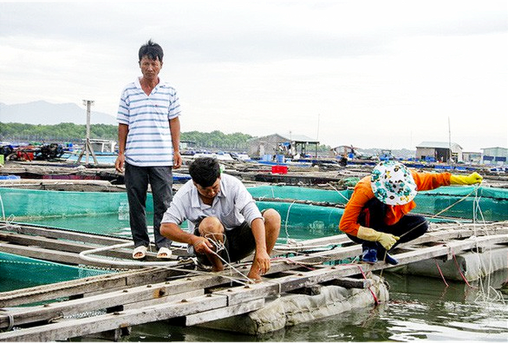 Hai tàu cá của Bà Rịa - Vũng Tàu mất liên lạc trên biển - Ảnh 1.