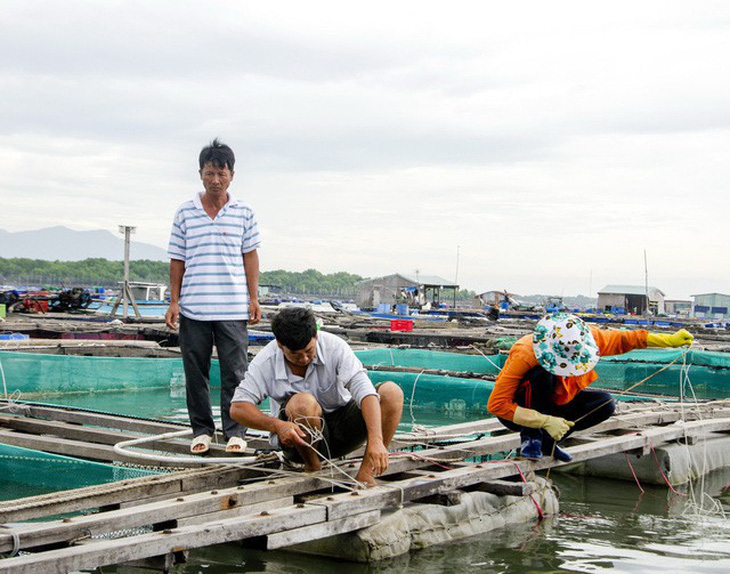 Ninh Thuận, Vũng Tàu, các tỉnh miền Tây dồn lực chống bão - Ảnh 1.