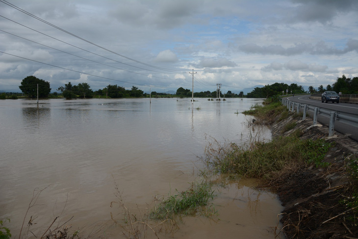 Thủ phủ thanh long Bình Thuận ngập nặng - Ảnh 5.