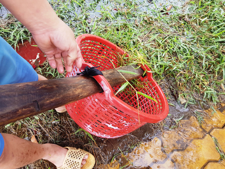 Người dân ven Sài Gòn rủ nhau bắt cá trên đường ngập - Ảnh 4.