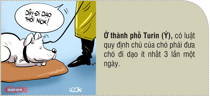 8 điều luật kỳ khôi vòng quanh thế giới - Ảnh 8.