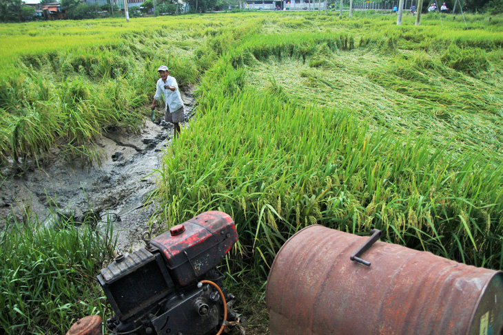 Nông dân Tiền Giang hối hả bơm nước cứu 10.000ha lúa - Ảnh 2.