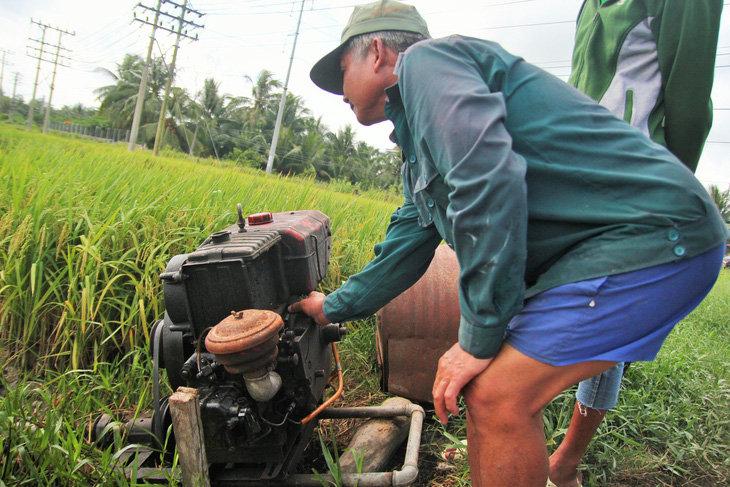 Nông dân Tiền Giang hối hả bơm nước cứu 10.000ha lúa - Ảnh 3.