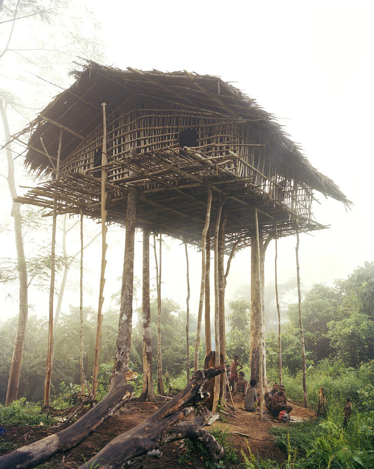 Tới Tây Papua xem bộ lạc Kombai làm nhà cao chót vót - Ảnh 8.