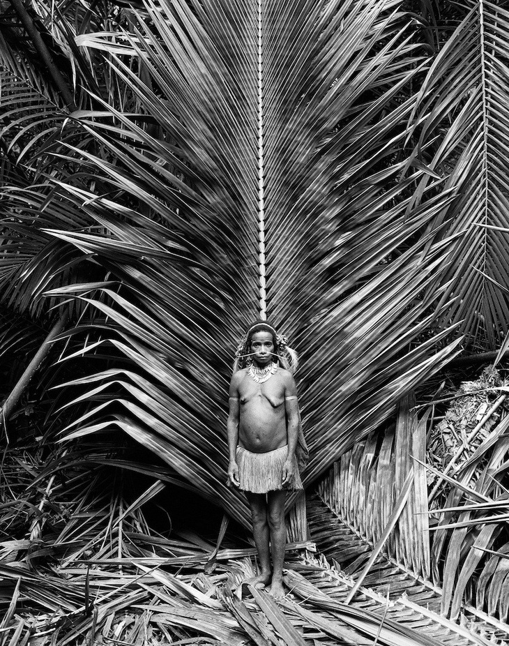 Tới Tây Papua xem bộ lạc Kombai làm nhà cao chót vót - Ảnh 7.