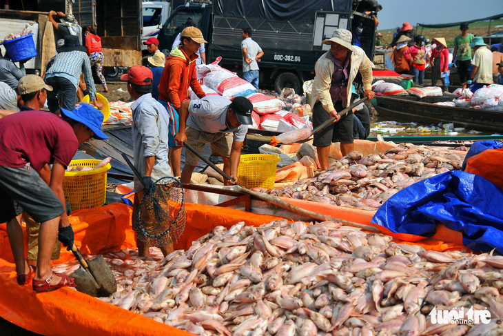 Hỗ trợ 12,2 tỉ đồng cho 129 hộ dân nuôi cá lồng bè trên sông La Ngà - Ảnh 1.