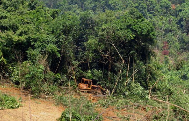 2 hecta rừng tự nhiên biến mất trong báo cáo gửi UBND tỉnh - Ảnh 1.