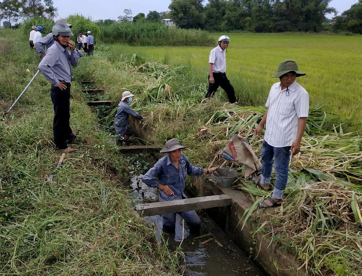 Bình Định kiểm tra vụ bêtông… cốt cây - Ảnh 1.