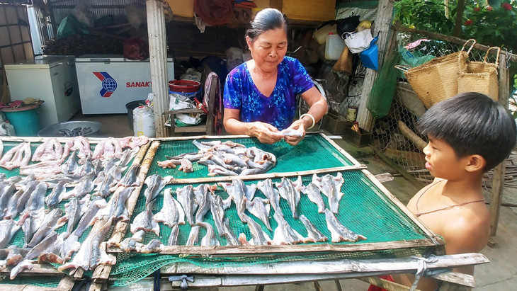 Những mùa cá đồng miền lũ - kỳ cuối: Làm gì để bảo tồn nguồn cá đồng? - Ảnh 1.