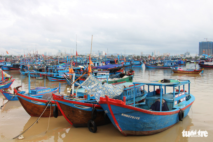 Chi phí đi biển tăng cao, 50% tàu đánh bắt xa bờ ở Khánh Hòa nằm bờ - Ảnh 1.