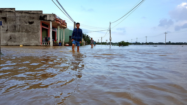 Bình Định sơ tán khẩn cấp hơn 150 hộ dân vì lo vỡ đê - Ảnh 2.