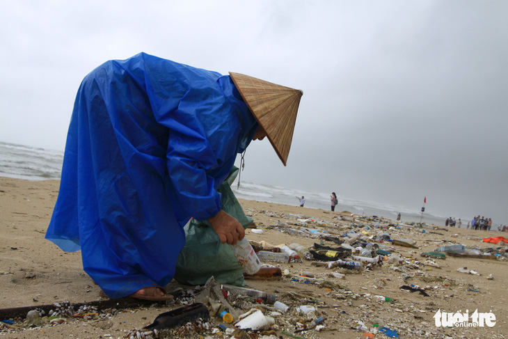 Sinh vật biển theo rác thải trôi dày đặc trên bãi biển Đà Nẵng - Ảnh 4.